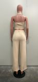 EVE V Neck Sleeveless Vest Pants Suit SHMF-6183