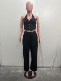 EVE V Neck Sleeveless Vest Pants Suit SHMF-6183