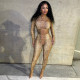 EVE Snake Print Crop Top And Pants Two Piece Sets GSBD-J25ST344