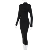 EVE Solid Color High Collar Slim Long Dress GAXB-P0292DS