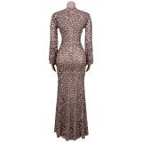 EVE Deep V Neck Leopard Print Maxi Dress BY-7571