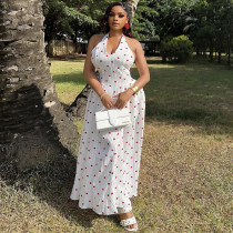 EVE V Neck Print Big Swing Maxi Dress GANY-LB1088