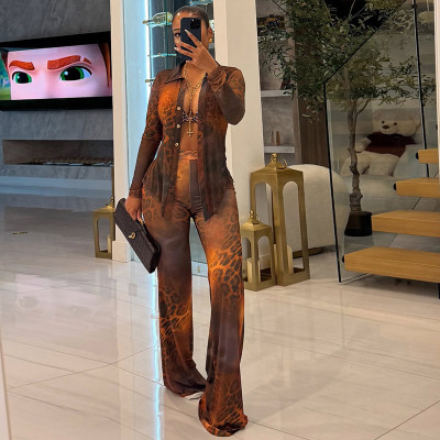 EVE Print Mesh Long Sleeve Tops Flare Pants 2 Piece Set GXHF-M80819