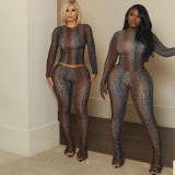 EVE Snake Print Long Sleeve Tight Pant Suit XEF-K25S86814