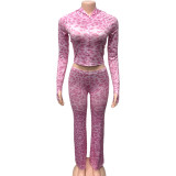 EVE Fashion Print Zipper Two Piece Pants Set GQNF-Y00257SC