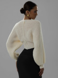 EVE Long Sleeve V Neck Knits Sweater GQNF-Y00255CM