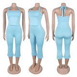 EVE Backless Tie Up Halterneck Tank Tops Pants Suit GTYZ-7542