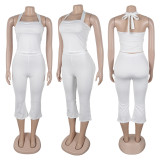 EVE Backless Tie Up Halterneck Tank Tops Pants Suit GTYZ-7542