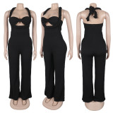 EVE Halterneck Sleeveless Loose Straight Jumpsuit GTYZ-7537