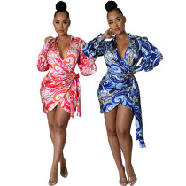 EVE Plus Size Print V Neck Long Sleeve Tie Up Mini Dress SMR-10968