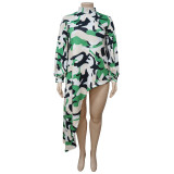 EVE Plus Size Print Irregular Long Sleeve Long Dress NNWF-7084