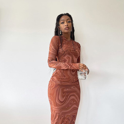 EVE Long Sleeve Print Bodycon Dress GJYO-296806