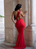 EVE Slash Shoulder Backless Pleated Maxi Dress SFY-834