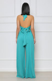 EVE Solid Color Halterneck Backless Jumpsuit XHXF-8649