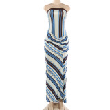 EVE Stripe Print Slim Tube Top Maxi Dress GZJQ-K6D00053A