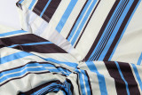 EVE Stripe Print Slim Tube Top Maxi Dress GZJQ-K6D00053A
