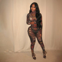EVE Mesh See Through Print Tight Jumpsuit GZJQ-K6Q00584A