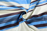 EVE Stripe Print Slim Tube Top Maxi Dress GZJQ-K6D00053A