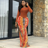 EVE Long Sleevel Print Pleated Maxi Dress GANY-LB2359