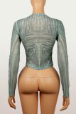 EVE Mesh Long Sleeve Solid Color Tops YWXS-K25L1463