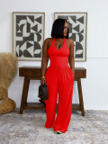 EVE Solid Color Sleeveless Casual Two Piece Pants Set SFY-839