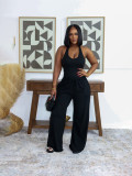 EVE Solid Color Sleeveless Casual Two Piece Pants Set SFY-839