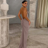 EVE Solid Color Halterneck Ruched Backless Maxi Dress LJSF-D6321249X