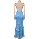 EVE Sexy Sling Backless Mesh Maxi Dress BY-7672