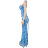 EVE Sexy Sling Backless Mesh Maxi Dress BY-7672