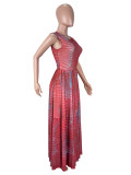 EVE Print Sleeveless Bodysuit  Long Skirts 2 Piece Set SHD-9966