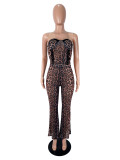 EVE Sexy Leopard Print Tube Top Two Piece Pants Set SHD-9976