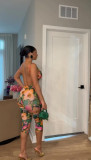 EVE Print Backless Sling Tops Two Piece Pants Set TE-4757
