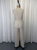 EVE V Neck Sleeveless Top Wide Leg Pants 2 Piece Set GWDS-260509