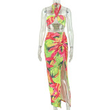 EVE Sexy Print Halterneck Two Piece Skirts Set GJYO-JSD711908
