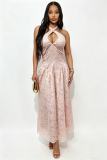 EVE Halterneck Hollow Out Backless Maxi Dress GADE-9162