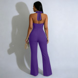 EVE Backless Halterneck Micro Flare Jumpsuit YF-11072