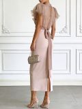 EVE See Through Mesh Maxi Dress GWDS-260425