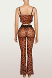 EVE Leopard Print Lace Patchwork Two Piece Pants Set YWXS-K26L2263