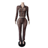 EVE Mesh Print Long Sleeve Two Piece Pants Set MEM-88710