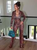 EVE Mesh Print Long Sleeve Two Piece Pants Set MEM-88710