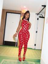 EVE Mesh Hot Stamping Sleeveless Jumpsuit MEM-88713