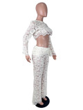 EVE Lace Hollow Out Long Sleeve Pants 2 Piece Set SHD-8118