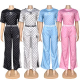 VIP1 Polka Dot Print Embroidered Sports Two-Piece Set GYSF-5348