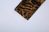 EVE Leopard Print Long Sleeve Maxi Dress DLSF-K6D11938A