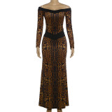 EVE Leopard Print Long Sleeve Maxi Dress DLSF-K6D11938A