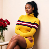 EVE Plus Size Stripe High Collar Knits Sweater QMZF-1902