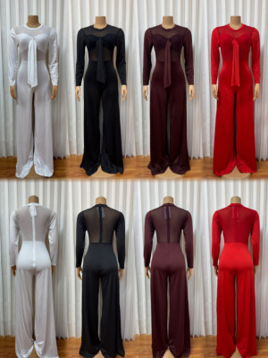 EVE Mesh Patchwork Long Sleeve Jumpsuit GMYU-9262