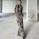 EVE Mesh Printed See Through Long Sleeve Maxi Dress YWXS-XS-D3914186W