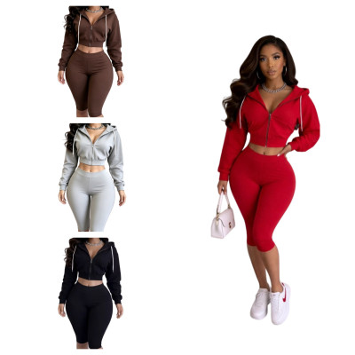 EVE Solid Color Long Sleeve Hooded Seventh Pants 2 Piece Set MEM-88724