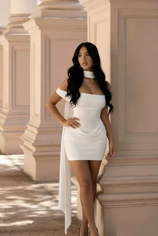 EVE Solid Color Ruched Mesh Mini Dress GMYU-11390